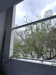 Blk 107 Gangsa Road (Bukit Panjang), HDB Executive #523799301